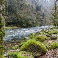 Подойти к берегу :: Eugene * Подойти к берегу :: Eugene *