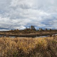 Река Серая :: Денис Бочкарёв Река Серая :: Денис Бочкарёв