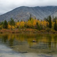 Облачным утром...... :: Юрий Цыплятников