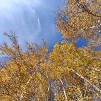 Осень :: Надежда