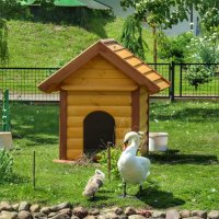 В Толгском женском монастыре :: Irene Irene