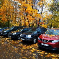Закрытие велосезона (завтра - операция по удалению пластины из руки) :: Андрей Лукьянов