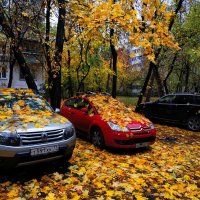 Закрытие велосезона (завтра - операция по удалению пластины из руки) :: Андрей Лукьянов