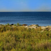Берег Каспия :: Анатолий Чикчирный