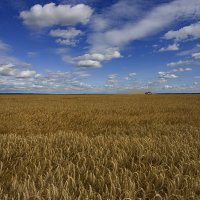 Уходящее лето :: Олег Денисов