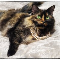 Муся :: Анна Пугач