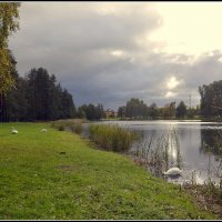 *** :: Aleksandr Gal