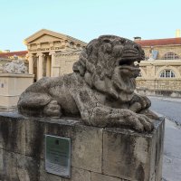 Ессентуки :: skijumper Иванов Ессентуки :: skijumper Иванов