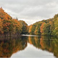 Парковый пруд. :: Валерия Комова