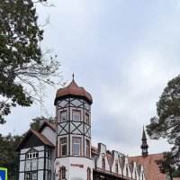 Прогулка по Светлогорску. :: Ольга 