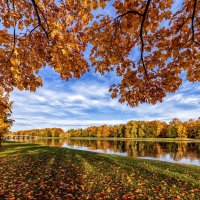 Настроение - осень :: Евгений 