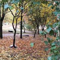 ,,, :: Сергей Тимоновский