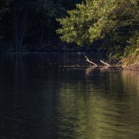 Заводь :: Владимир 