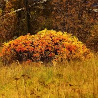 !!! :: kolyeretka !!! :: kolyeretka