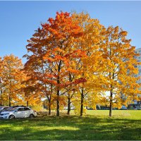 Осень наступает... :: Анатолий ИМХО Осень наступает... :: Анатолий ИМХО