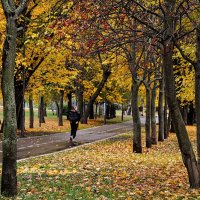 Домой , домой ! :: Анатолий Колосов