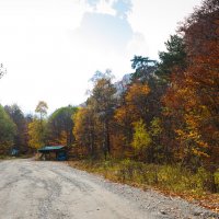 Осень :: Батик Табуев