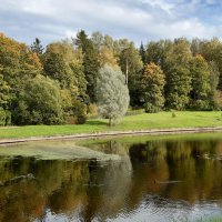 Павловск, Павловский парк :: Галина Минчук Павловск, Павловский парк :: Галина Минчук