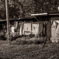 Старый дворик провинциального города в сентябре :: Алексей Трифонов