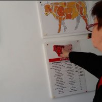 114 (12) :: CLOSE WAYS ALL