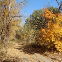 По осеннимъ дорогамъ :: Олегъ Петрович