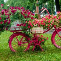 Лето :: Галина Ложечникова