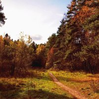 ------- :: AL Reborn 