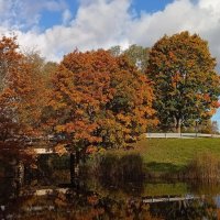 Осенние фотозарисовки .. :: Татьян@ Ивановна Осенние фотозарисовки .. :: Татьян@ Ивановна