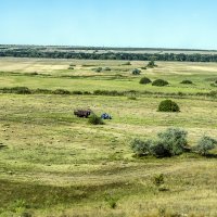 Пейзаж из вагонного окна :: Андрей Щетинин