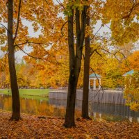 В осеннем парке... :: Владимир Жданов