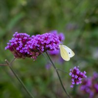 момент.... :: Дмитрий А