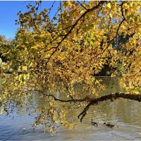 Смотри, как облаком живым Фонтан сияющий клубится; :: "The Natural World" Александер