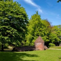 В парке... :: Николай Гирш