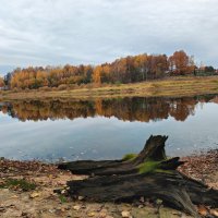 Краски осени :: Денис Бочкарёв