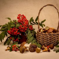 Грибная пора :: Людмила Павловна Крышковец