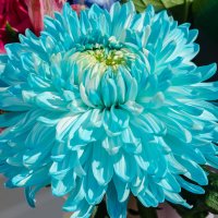 *** :: Виктор Иванович Чернюк