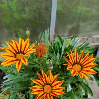 Гацания :: Татьяна Пальчикова