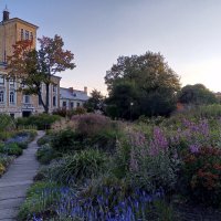 Осень :: Сапсан 