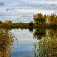 Природа Смоленщины в октябре. :: Милешкин Владимир Алексеевич 