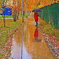 Октябрь...Непроходимая лужа! :: Владимир 