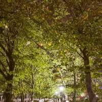 В ночном парке осенью :: Валерий Ткаченко В ночном парке осенью :: Валерий Ткаченко