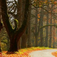 Осенний день :: Юрий. Шмаков