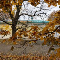 Облетают :: Лариса Корж