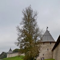 ПСКОВ, кремль. :: Виктор Осипчук ПСКОВ, кремль. :: Виктор Осипчук