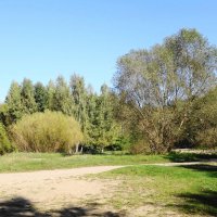 Октябрь :: Рита Симонова