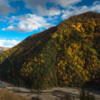 Осенние зарисовки :: Батик Табуев