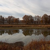 Уже октябрь на дворе :: MILAV V