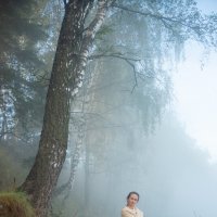 туман :: Алексей Чигвинцев