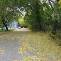Осень в городе :: Андрей Макурин