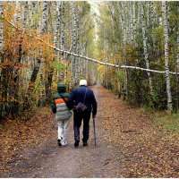 Очередная осень.... :: Aleksandr Gal